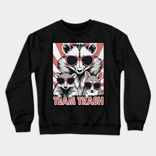 Team Trash Opossum Raccoon Rat, Funny Animals Garbage Retro Crewneck Sweatshirt